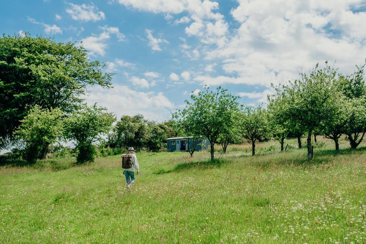 Blatchford Briar - Award Winning Private Shephards Huts With Their Own Secluded Hot Tubs Milton Abbot Buitenkant foto