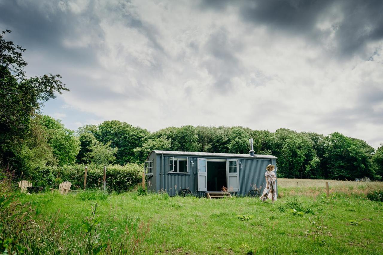 Blatchford Briar - Award Winning Private Shephards Huts With Their Own Secluded Hot Tubs Milton Abbot Buitenkant foto
